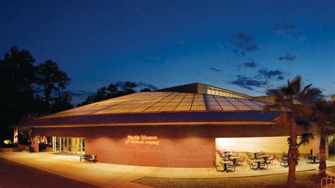 Gainesville chat sites